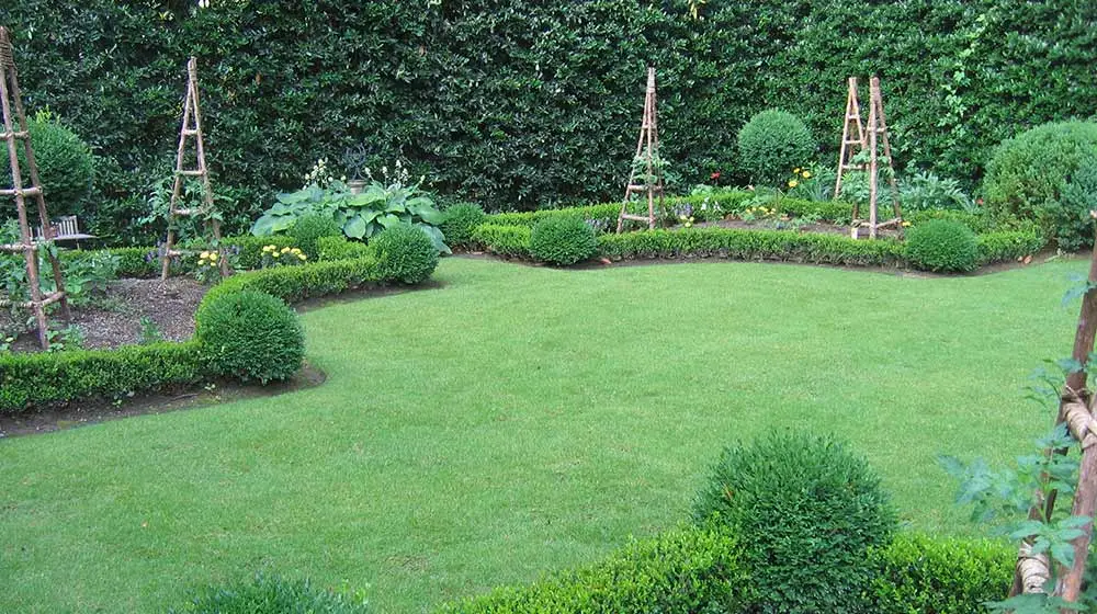 Backyard landscape with regular maintenance services in Atlanta, GA.